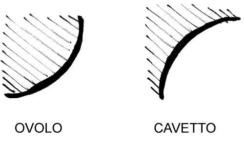 Ovolo-Cavetto